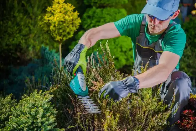 landscaping services Peekskill